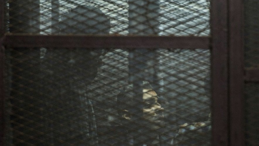 Le journaliste canadien Mohamed Fahmy lors de son procès au Caire, le 29 août 2015