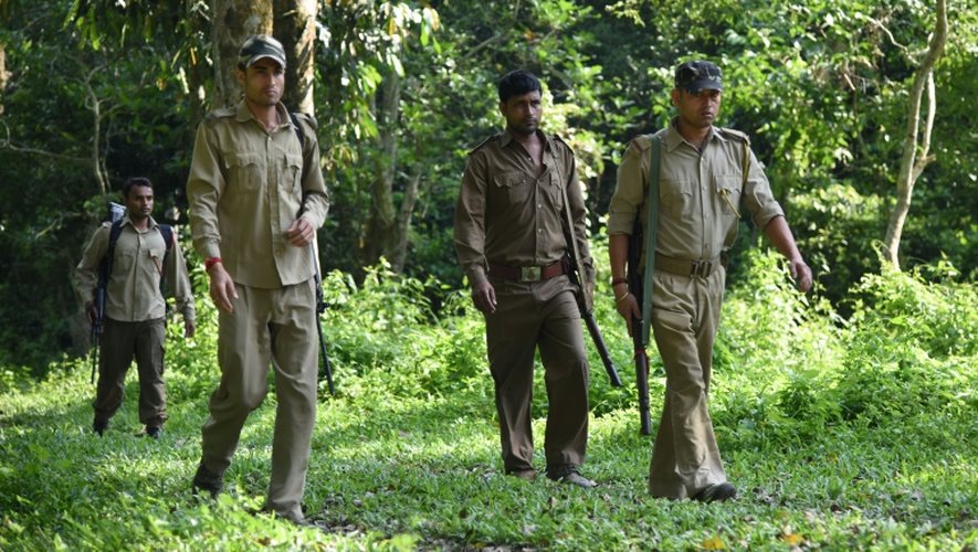 Des gardes forestiers légèrement armés en patrouille le 2 juin 2016 dans le parc national de Kaziranga en Inde