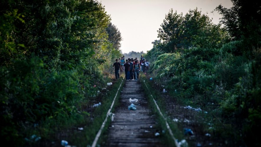 Des migrants longent une voie de chemin de fer en direction de la Hongrie près de Horgos, en Serbie, le 28 août 2015