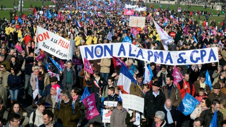 Manifestation de "La Manif Pour Tous" contre le mariage homosexuel aux Invalides à Paris, le 2 février 2014