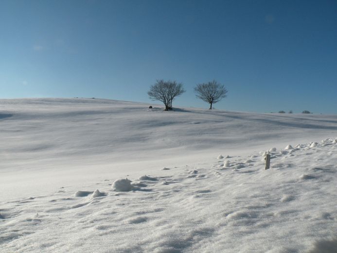 Quelle est votre photo préférée ?