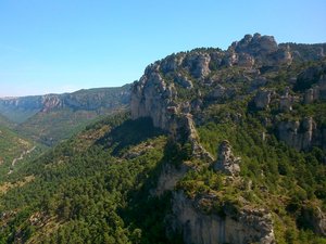 Quelle est votre photo préférée ?