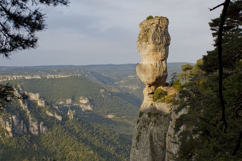 Quelle est votre photo préférée ?
