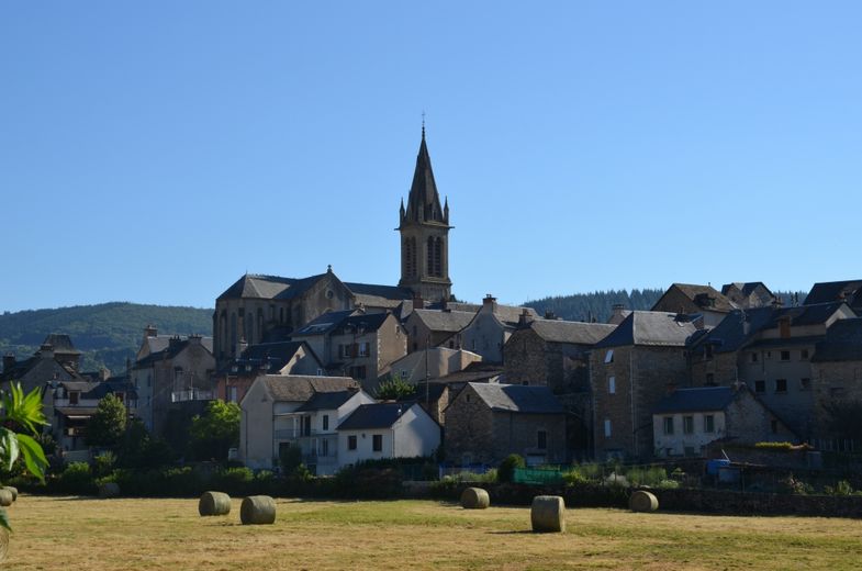 Quelle est votre photo préférée ?