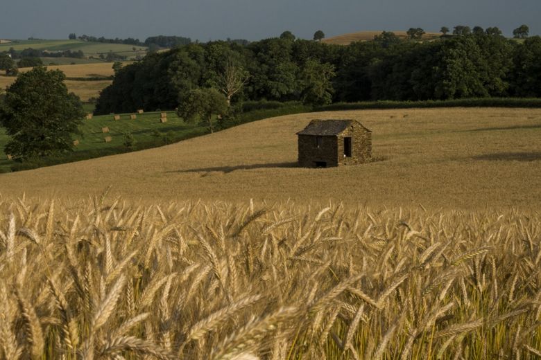 Quelle est votre photo préférée ?