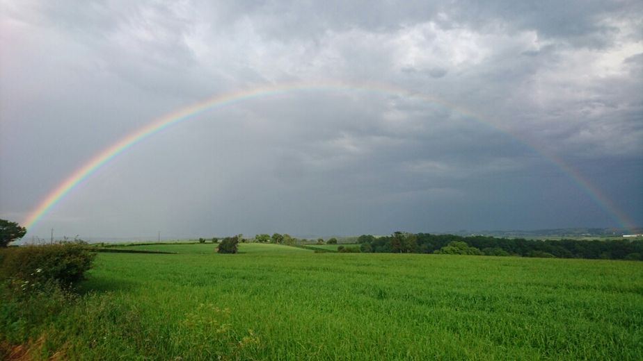Quelle est votre photo préférée ?