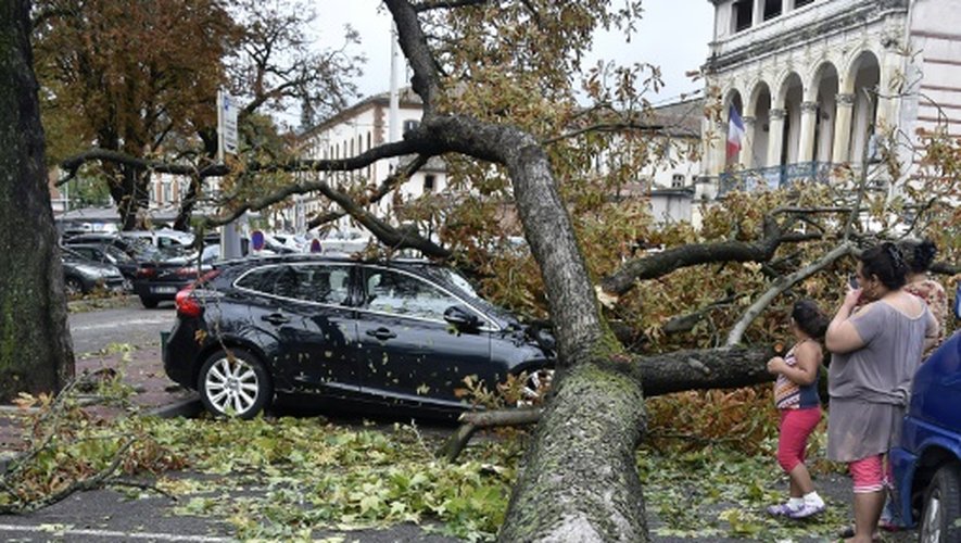 Un arbre déraciné en raison des intempéries le 1er septembre 2015 à  Montauban