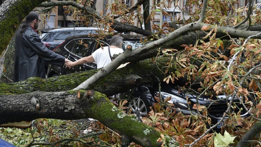 Un arbre tombé suite aux violents orages qui se sont abattus sur Montauban, le 1er septembre 2015