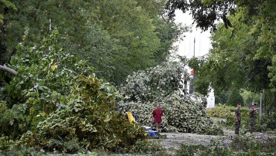 A Montauban, la tempête a déraciné des arbres centenaires.