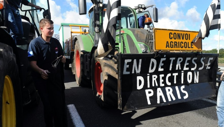 Des agriculteurs prennent la route en direction de Paris, le 1er septembre 2015 à Morlaix (Finistère), en vue d'une manifestation