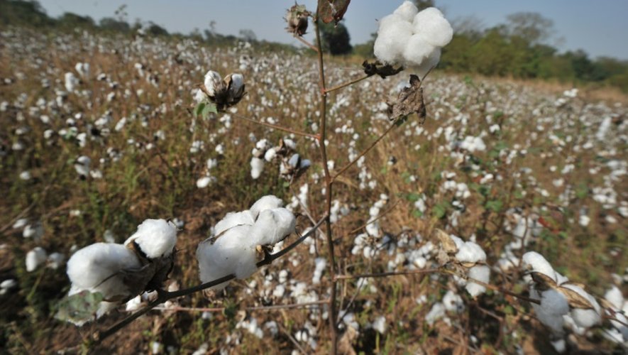 La Turquie, importatrice nette de coton pour la fabrication de vêtements, compte la Syrie parmi ses principaux fournisseurs