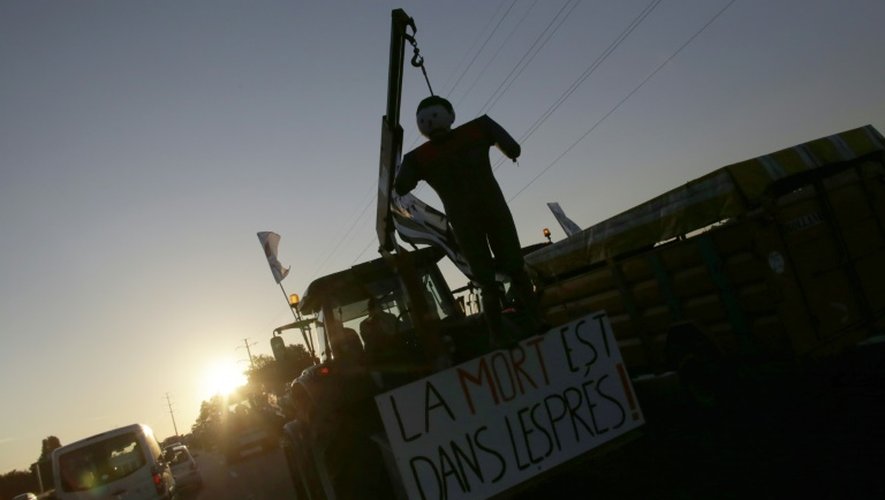 Le slogan "la mort est dans les prés" et un pantin illustrant un agriculteur pendu à un gibet dans un convoi sur l'autoroute A13 près de Mantes-la-Jolie