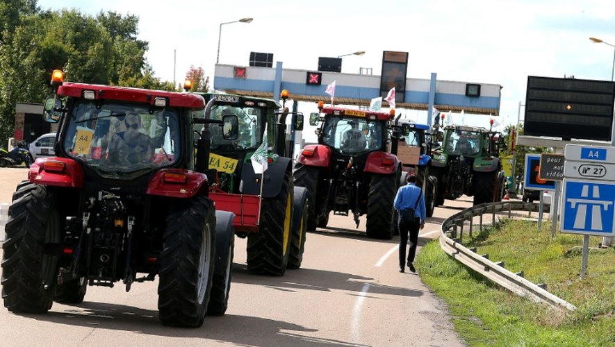Des agriculteurs en route pour Paris sur l'A4 le 2 septembre 2015 près de Reims