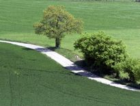 "L'agriculture française hérite d'un schéma dépassé"