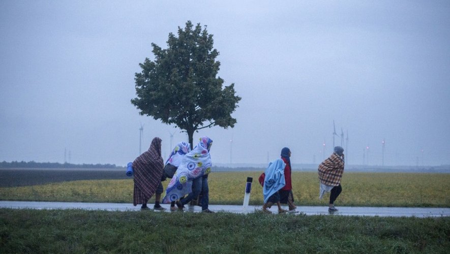 Des migrants se dirigent vers le village autrichien de Nickelsdorf le 5 septembre 2015 après être arrivés par autobus de Budapest