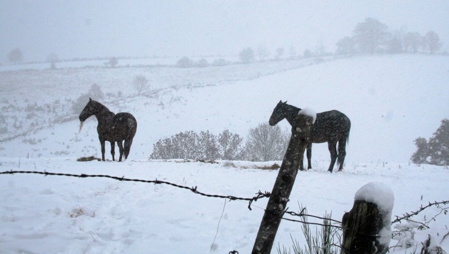 Aveyron : la neige arrive en force