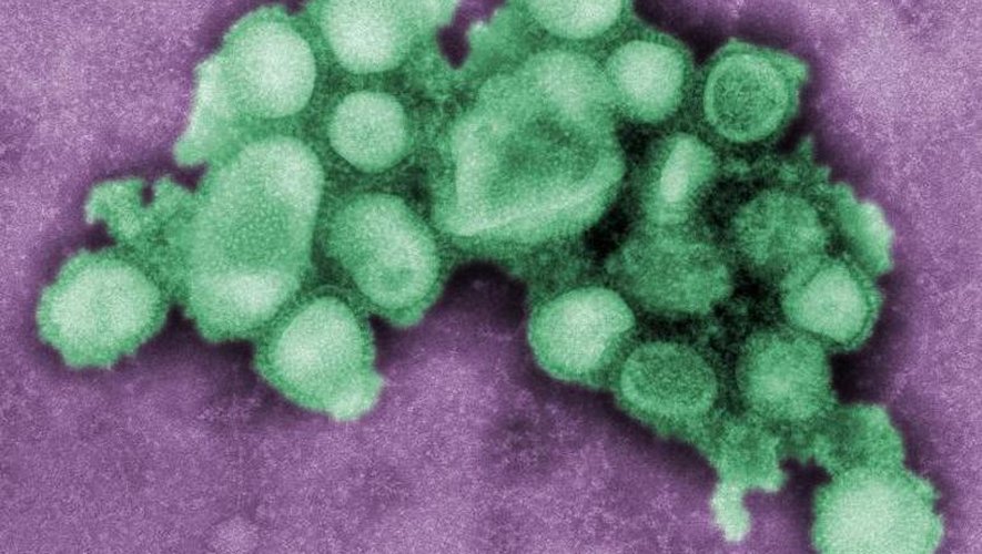 Photo prise au microscope en 2009 d'un virus H1N1 réalisé aux Centres pour le contrôle et la prévention des maladies, près d'Atlanta, aux Etats-Unis