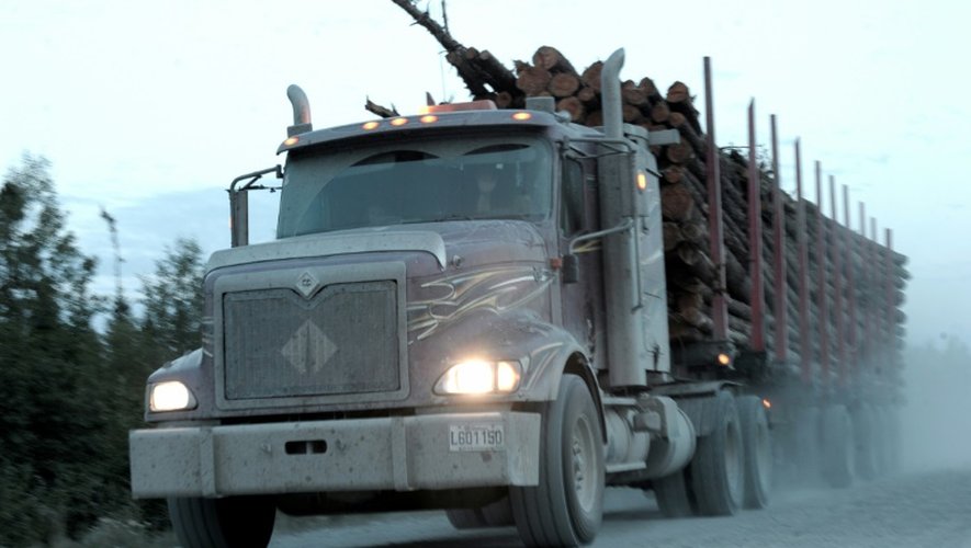 Un transport de bois de la forêt boréale vers une scierie, le 17 août 2015, près de la rivière Broadback, au nord du Québec
