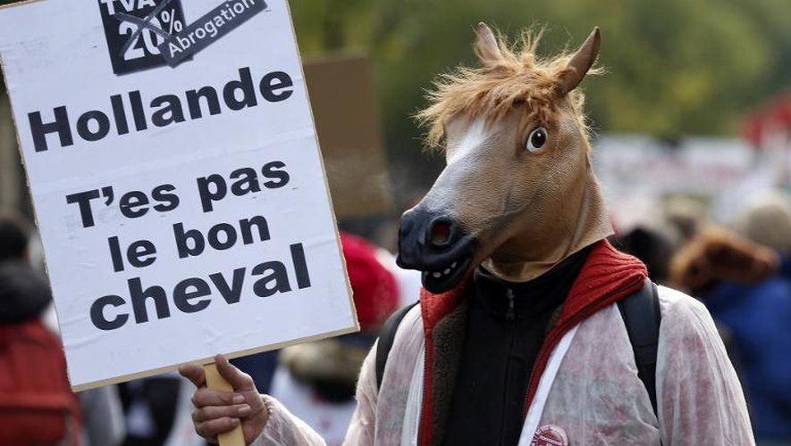 Un manifestant contre le hausse de la TVA sur les centres équestres, le 24 novembre 2013 à Paris