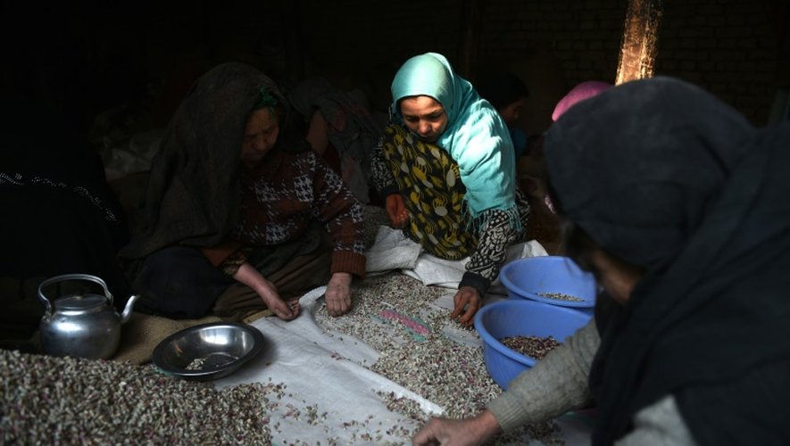 Des paysanes afghanes préparent des pistaches à Kaboul, le 31 décembre 2014