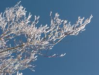 Ski : Brameloup et Laguiole espèrent ouvrir pour les fêtes de Noël