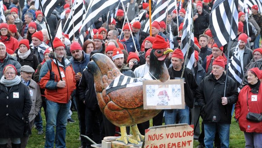 Les Bonnets rouges défilent à Carhaix (Finistère), le 30 novembre 2013