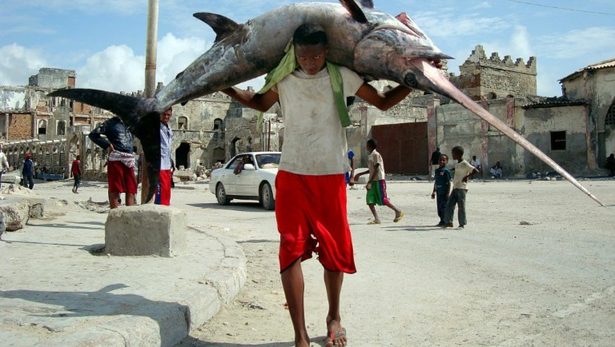 Un pêcheur porte un poisson sur le port de Mogadiscio en Somalie, le 8 novembre 2011