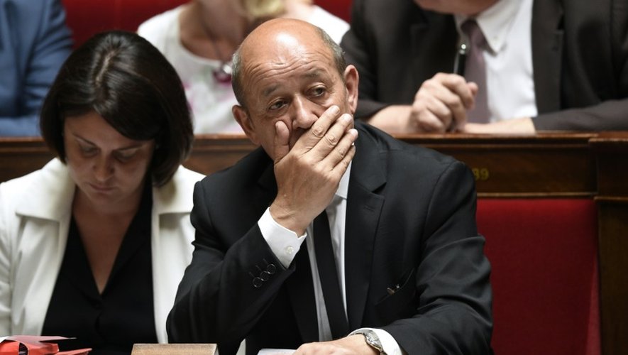 Jean-Yves Le Drian à l'Assemblée nationale le 29 juin 2015