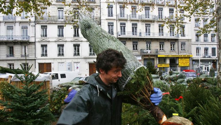 Vente de sapins de Noël le 9 décembre 2006 à Lyon