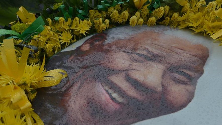 Un portrait de Mandela au milieu des fleurs le 8 décembre 2013 dans un parc de Johannesbourg