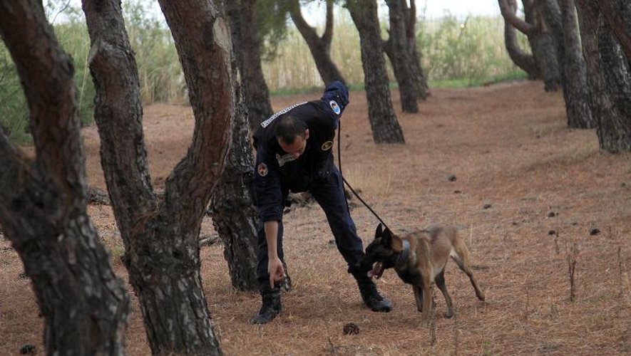 Un chien policier et son maître à la recherche d'une personne