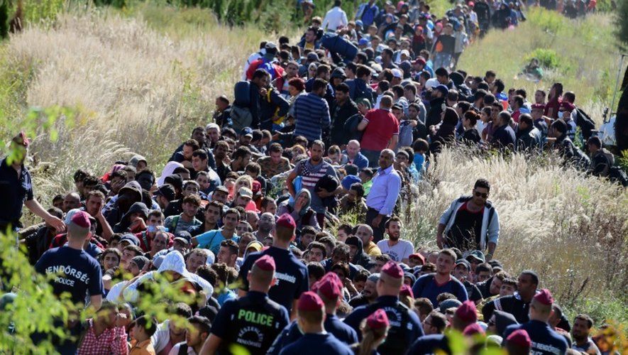 Des migrants encadrés par la police hongroise traversent la campagne le 21 septembre 2015 après avoir franchi la frontière entre la Croatie et la Hongrie près de Zakany