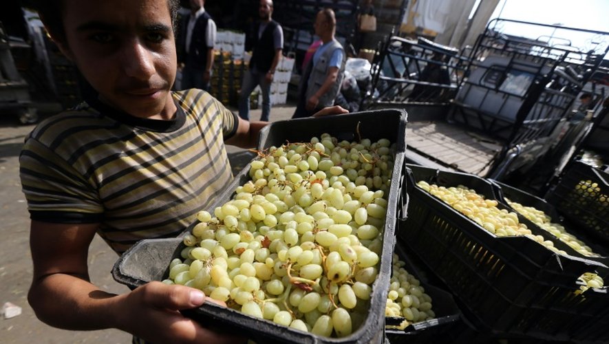Un jeune Syrien décharge des caisses de raisin au marché des Halles de Damas, le 21 septembre 2015