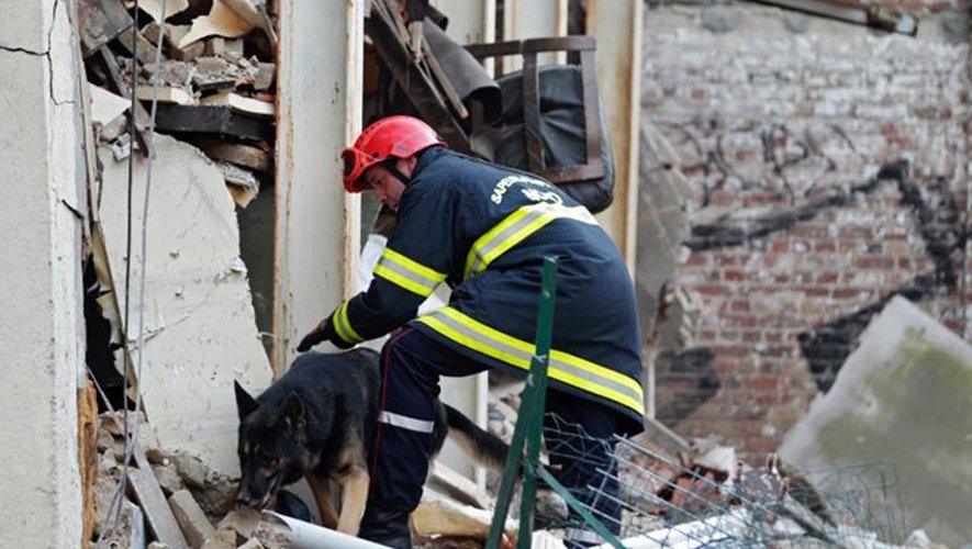 Un sauveteur et son chien dans les ruines d'une maison qui s'est effondrée à Lille, le 1er septembre 2014