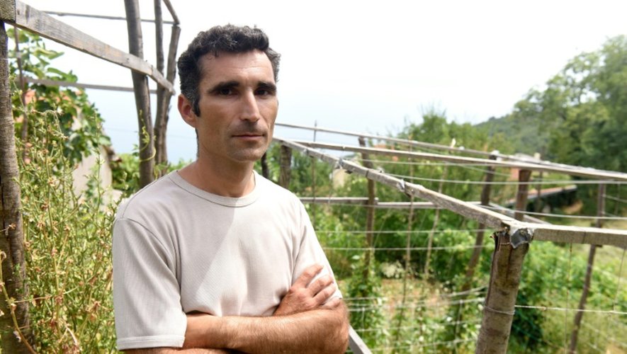 Huanito Luksetic, cultive dans son jardin de la marijuana pour fabriquer de l'huile destinées à apaiser les effets de sa maladie, le 13 juillet 2016 à Rijeka