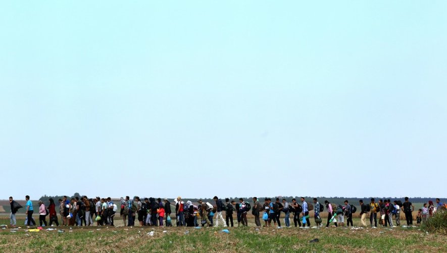 Des migrants marchent dans un champ en direction de la Croatie, le 24 septembre 2015, près de Sid, dans l'ouest de la Serbie