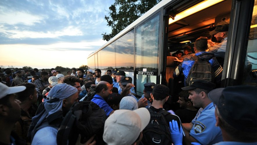 Des migrants se bousculent pour monter dans un autobus à Baptska  en Croatie à la frontière avec la Serbie, le 23 septembre 2015