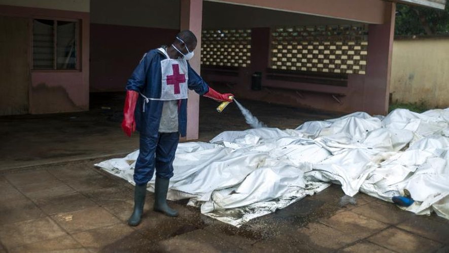 Un employé diffuse de l'insecticide sur des corps à la morgue de l'hôpital de Bangui le 10 décembre 2013