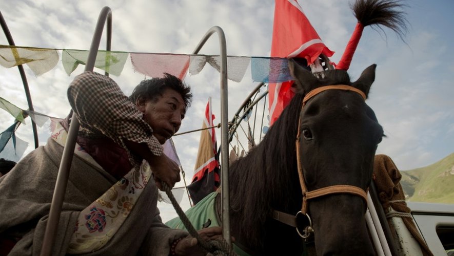 Un cavalier et son cheval le 26 juillet 2016 sur le plateau tibétain de Yushu dans la province chinoise du Qinghai