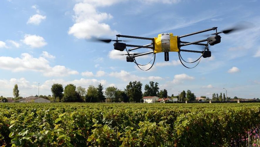 Un drone survole le vignoble de Bernard Magrez, à Pessac le 9 septembre 2014