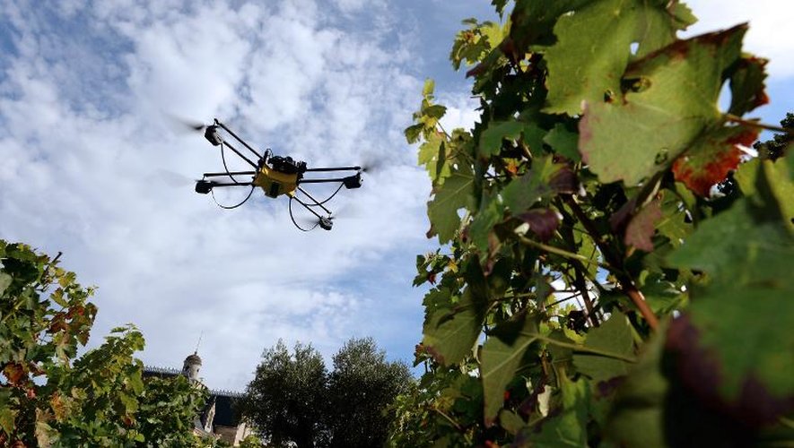 Un drone survole le vignoble de Bernard Magrez, à Pessac, dans le Bordelais, le 9 septembre 2014
