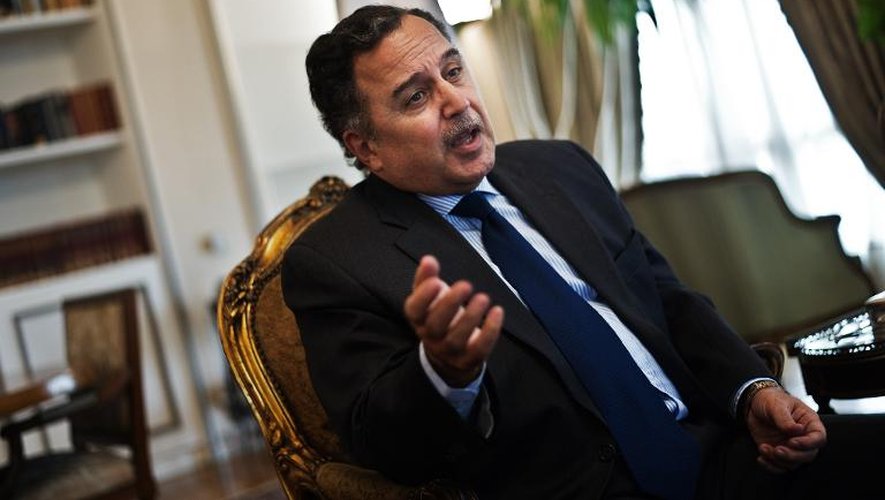 Le ministre égyptien des Affaires étrangères Nabil Fahmy le 9 novembre 2013 au Caire