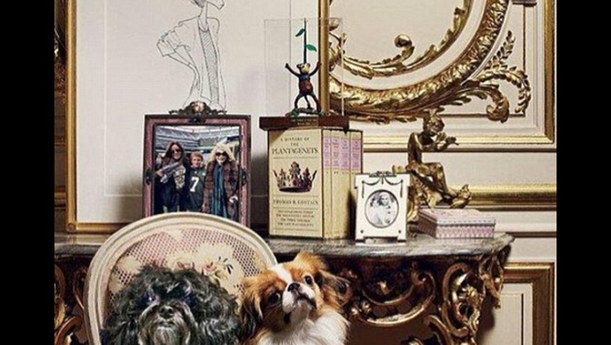 Joan Rivers : une partie de son immense fortune à ses chiens !