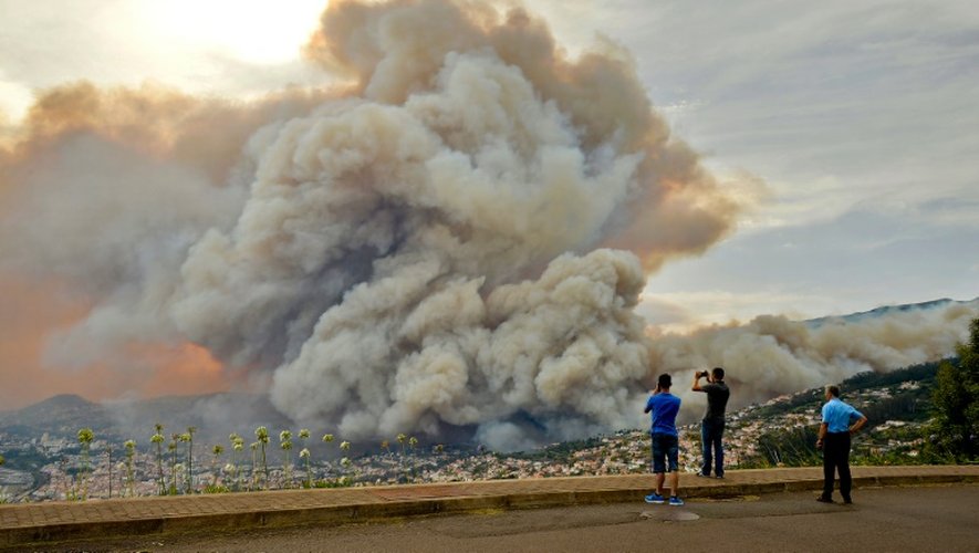 Incendies meurtriers à Funchal, sur l'île portugaise de Madère, le 9 août 2016