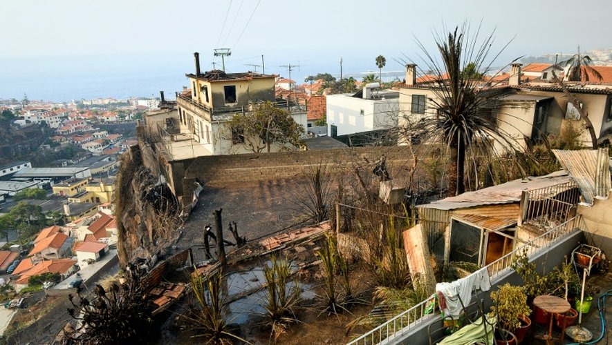 Des maisons brûlées à Funchal, sur l'île portugaise de Madère, le 10 août 2016