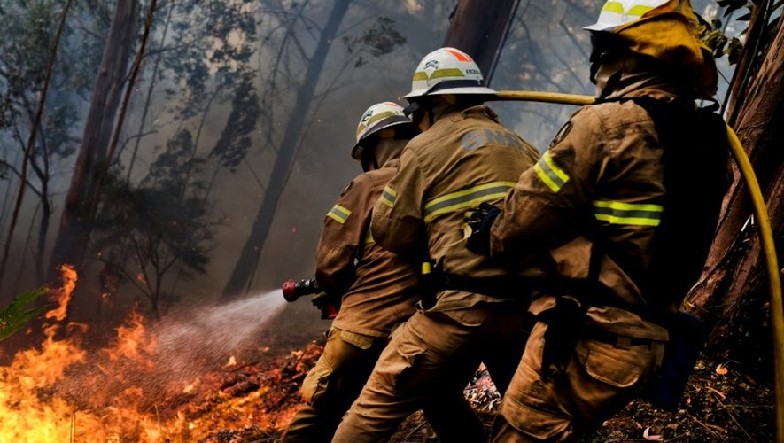 Les pompiers portugais combattent le feu à Calheta sur l'île de Madère où les incendies ont été maîtrisés, le 11 août 2016