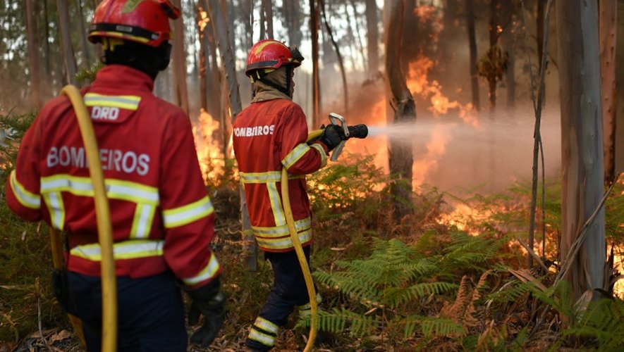 Les pompiers portugais combattent le feu à Calheta sur l'île de Madère, le 10 août 2016