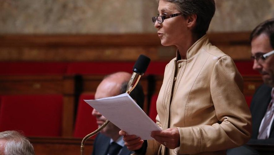 La député UMP Laure de la Raudière lors de questions au gouvernement le 23 octobre 2013 à l'Assemblée Nationale