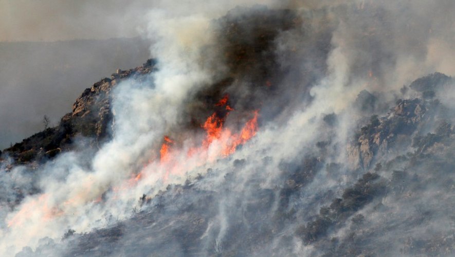 Incendie près du village de Rodes le 11 août 2016 dans les Pyrénées orientales