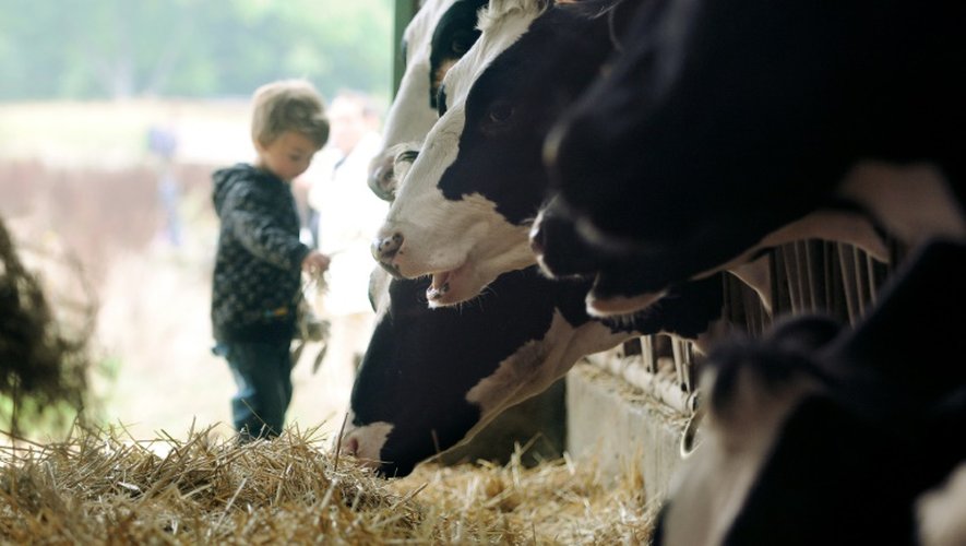 Les enfants élevés dans une ferme, où ils sont en contact avec des bactéries, ont un moindre risque d'asthme